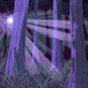 Meet your Posher, Summer